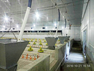 Cobertizo comercial para aves de corral con suelo de pizarra 