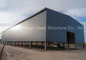 Almacén de estructura de acero de 1000 m2 en Argentina 